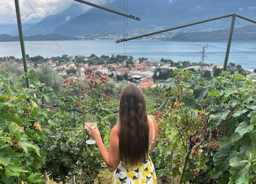 Lake Como wine tasting tour with panoramic views