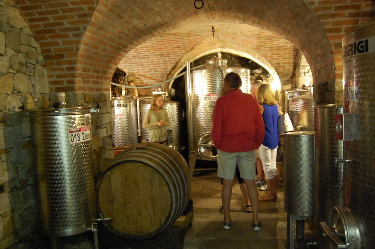 Lake Como wine tasting tour with panoramic views