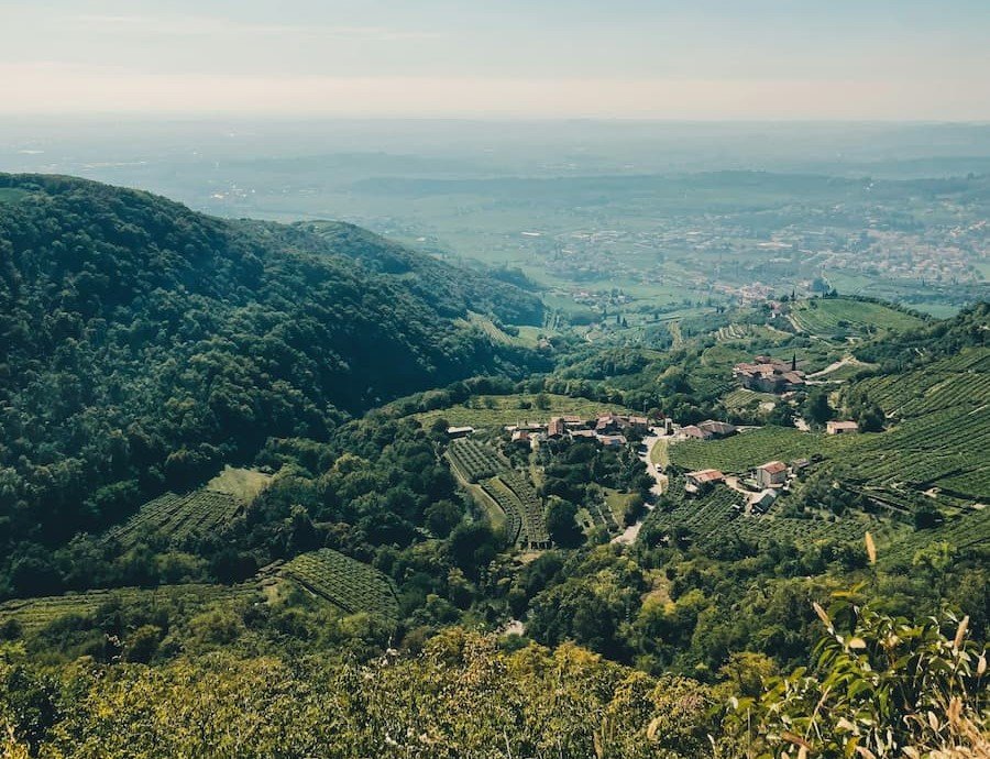 A Journey Through Valpolicella: Scenic Vineyards and Iconic Wine