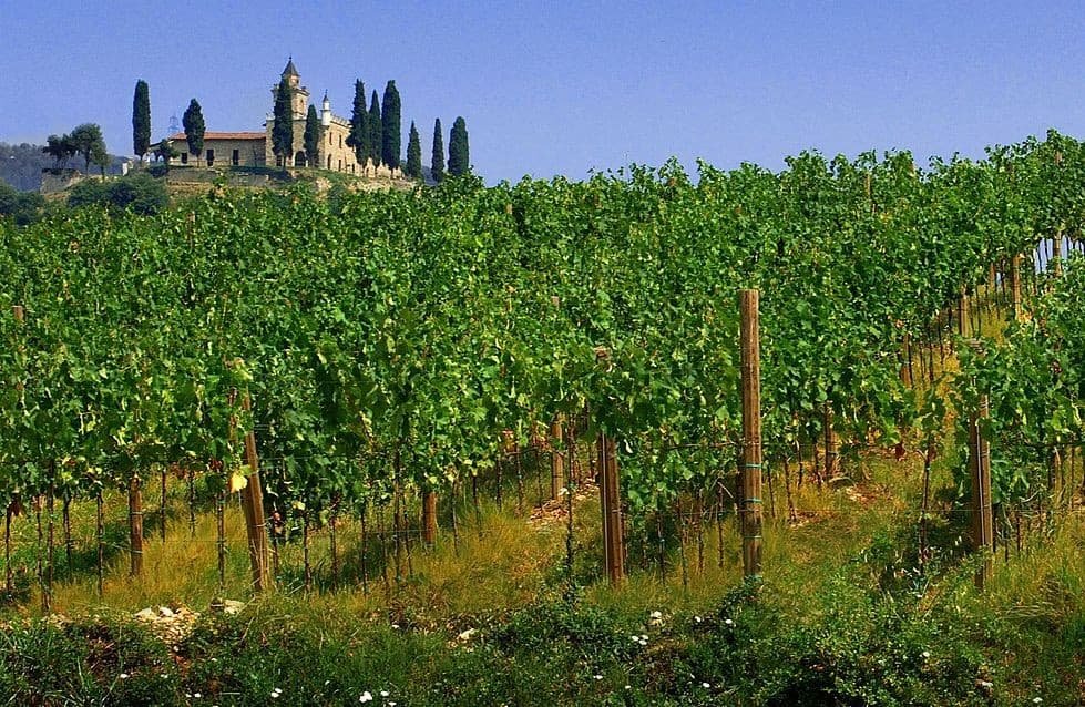 Franciacorta Sparkling Journey: Private Sommelier & Historic Palace Tasting from Milan