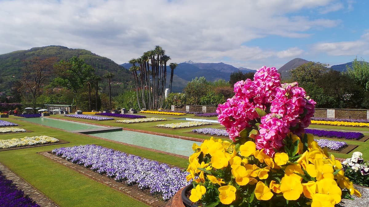 Lake Maggiore private cruise: Villa Taranto botanical garden