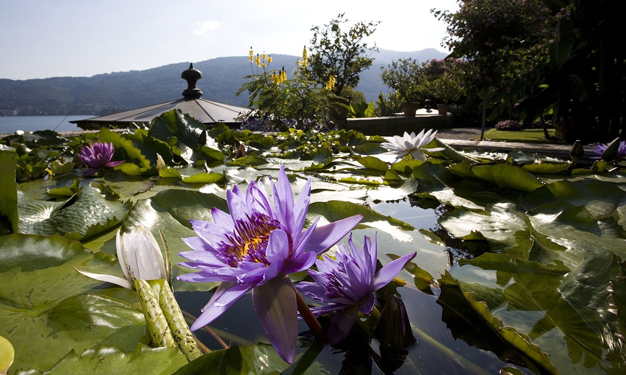 Discover Lake Maggiore: Borromean Islands private tour from Milan