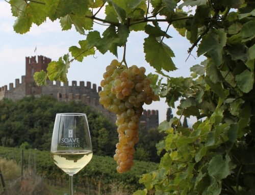 Soave: medieval charm and wine experience near Verona