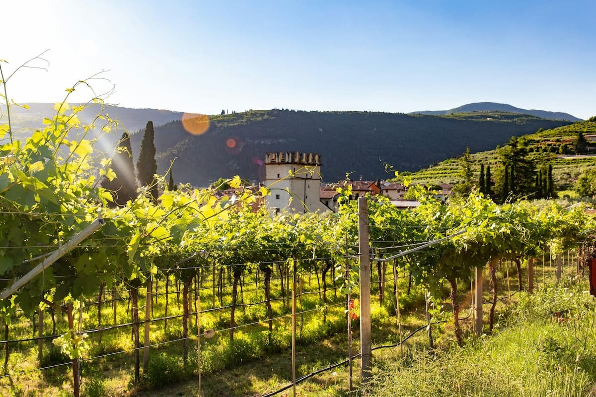 Valpolicella: Where Time Tastes Like Wine