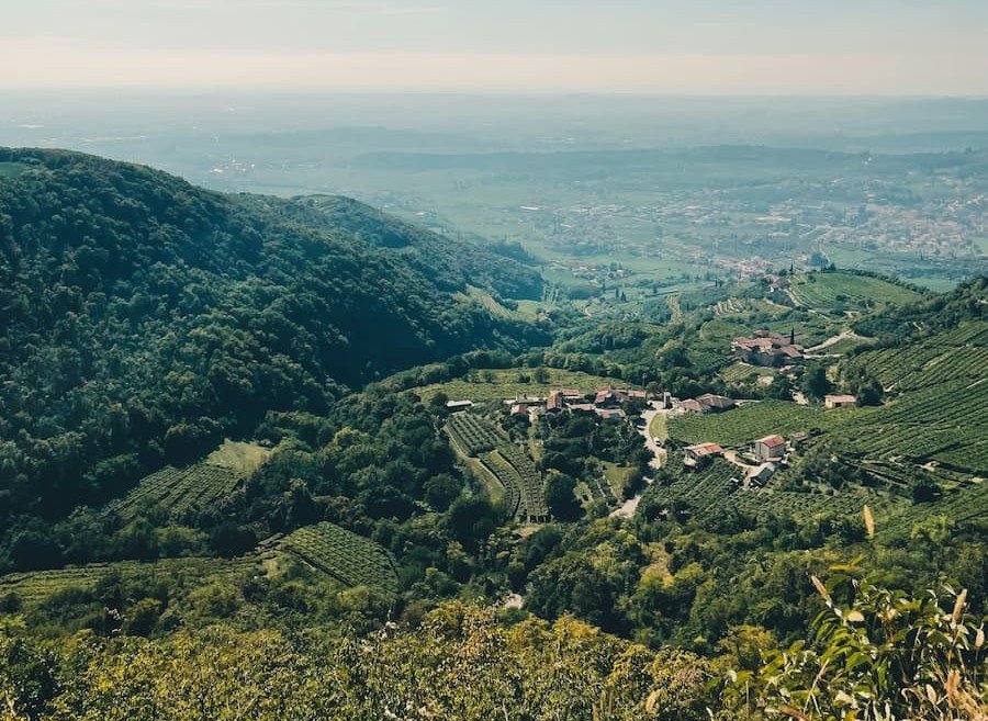 Valpolicella: Where Time Tastes Like Wine